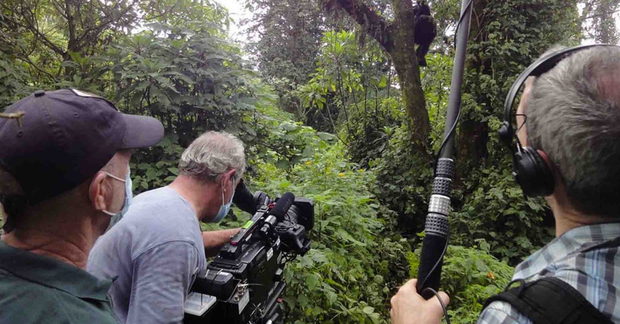 fai un emozionante safari con riprese in Uganda